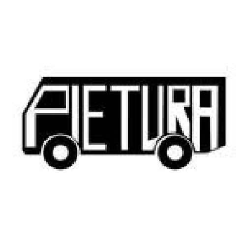 PIETURA logo